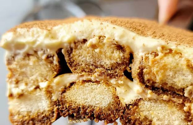 Gourmet Tiramisu Collection